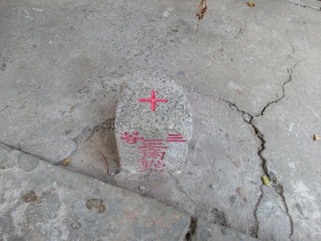 南觀音山 (13).JPG