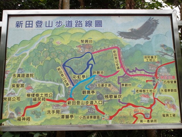 聚興山 (68).JPG