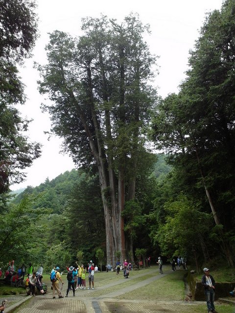 大雪山 (63).JPG