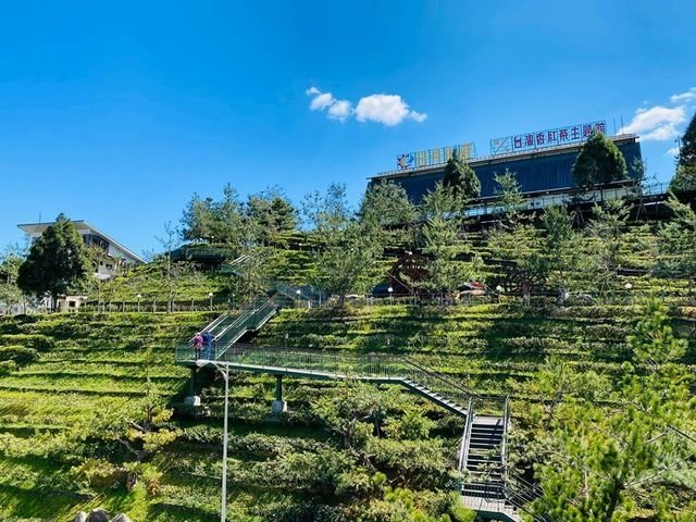 喝喝茶 (58).JPG
