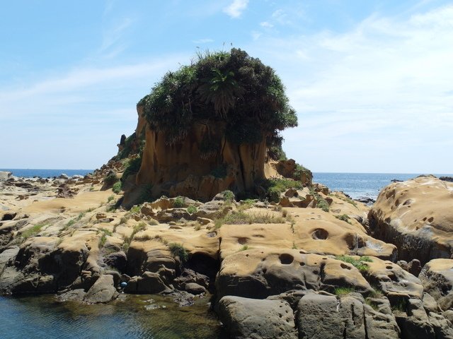 和平島 (45).JPG