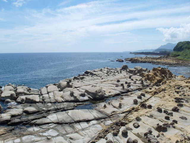 和平島 (60).JPG