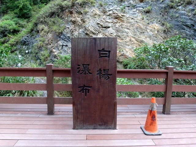 白楊步道 (35).JPG