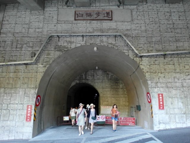 白楊步道 (90).JPG