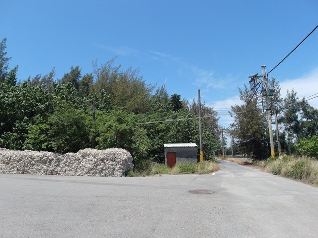 四湖 (31).JPG