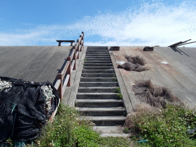 口湖 (18).JPG