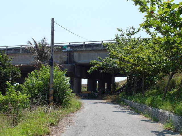 口湖 (183).JPG