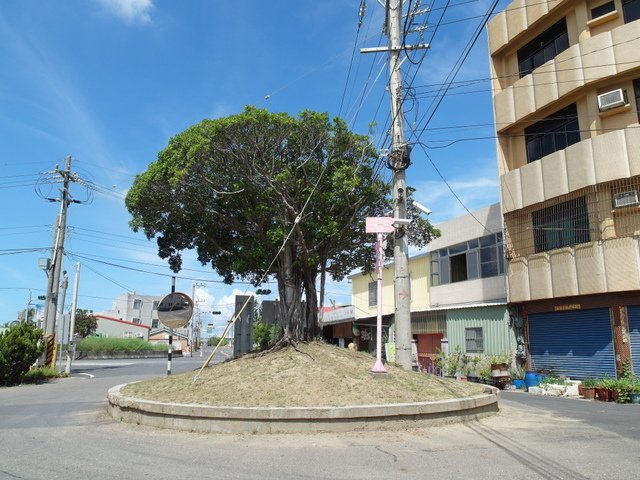 蘆竹溝 (12).JPG