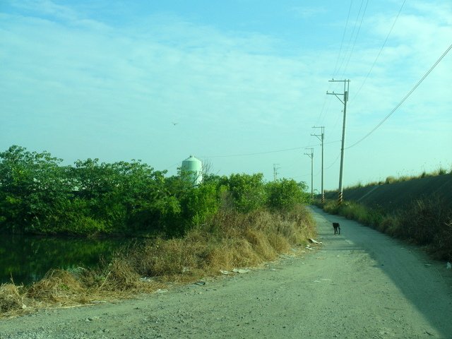 南科 (59).JPG