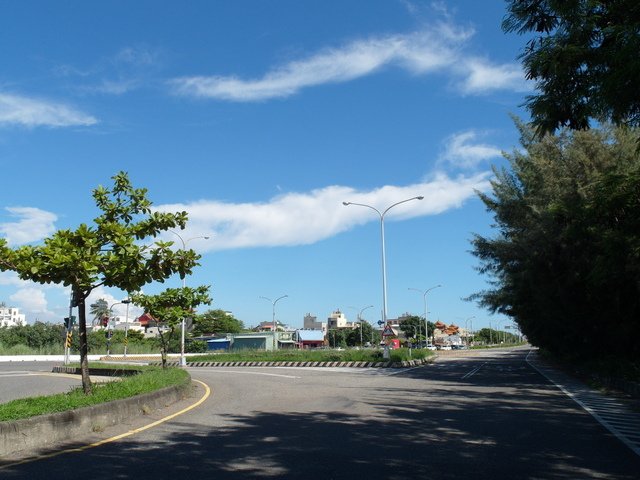 灣裡 (17).JPG