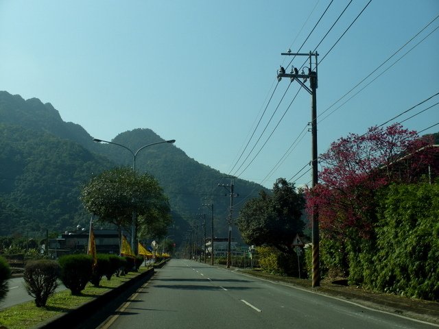 福山植物園 (1).JPG