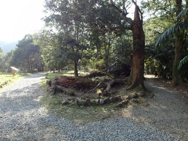 福山植物園 (126).JPG