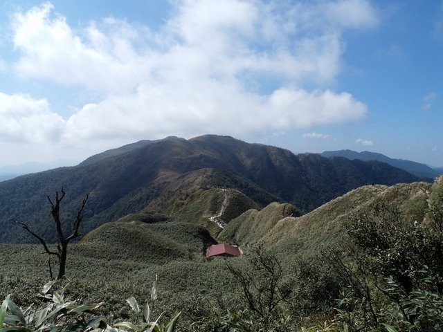 抹茶山 (181).jpg