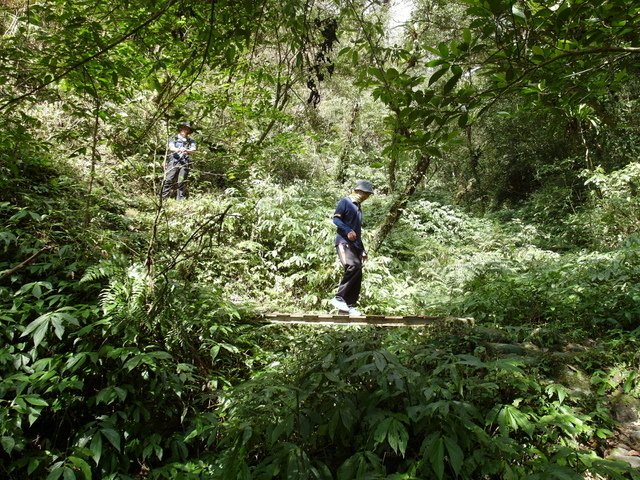 抹茶山 (228).jpg