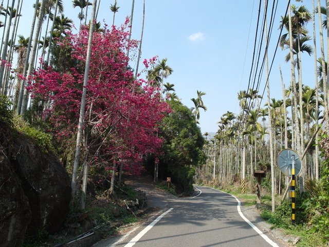 風櫃斗山 (187).JPG