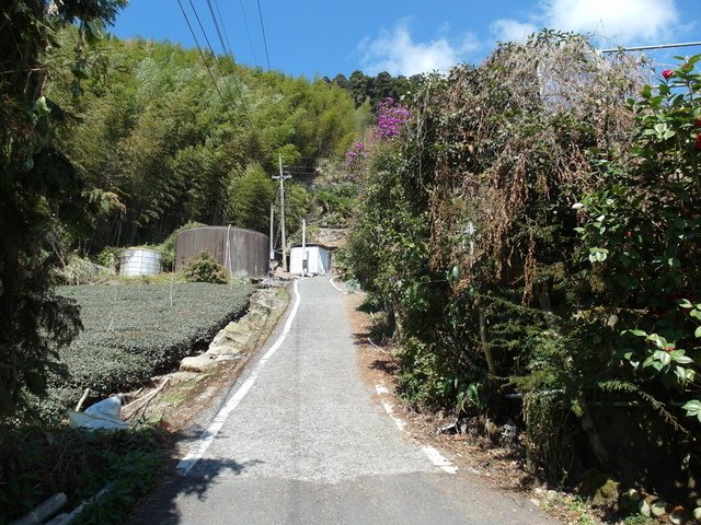 石棹 (60).JPG
