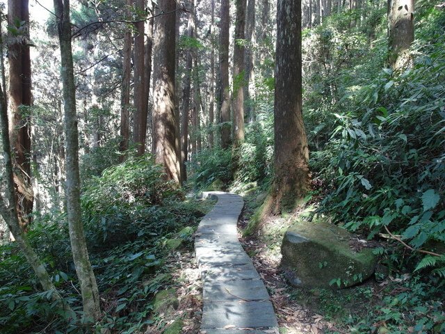 石棹 (94).JPG