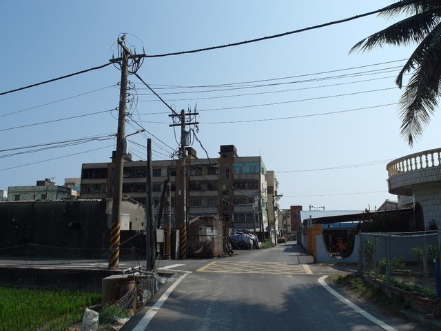 林園 (3).JPG