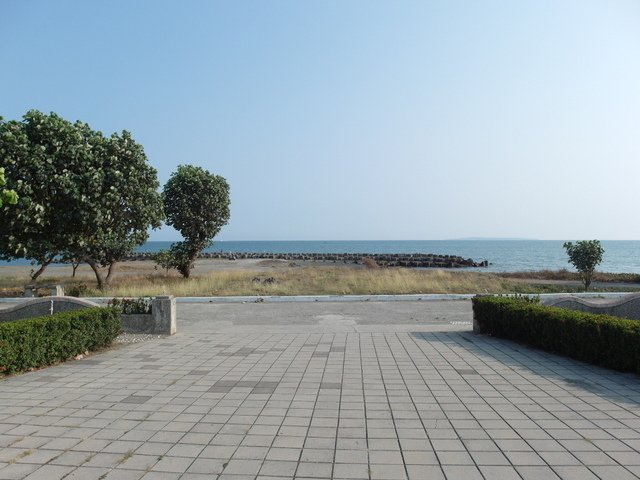 林園 (137).JPG