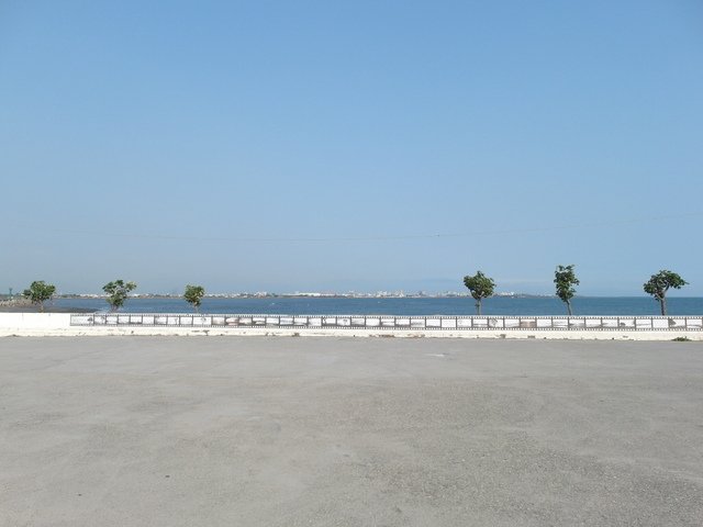 林園 (148).JPG