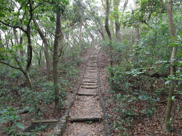 十八尖山 (159).JPG