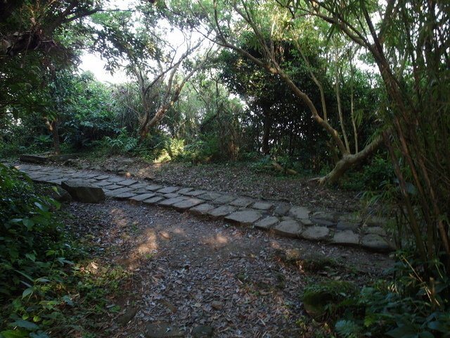 牛埔寮步道 (24).JPG