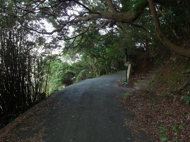 牛埔寮步道 (39).JPG