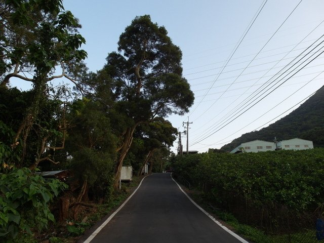 牛埔寮步道 (58).JPG