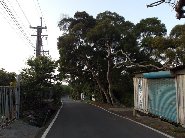 牛埔寮步道 (57).JPG