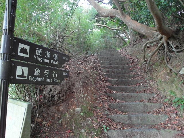 牛埔寮步道 (82).JPG