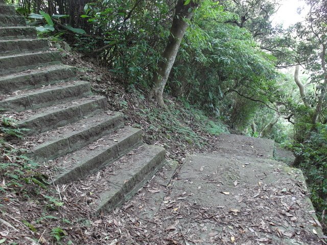 牛埔寮步道 (106).JPG