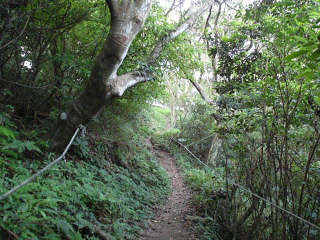 牛埔寮步道 (128).JPG