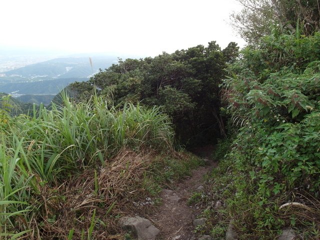 牛埔寮步道 (184).JPG