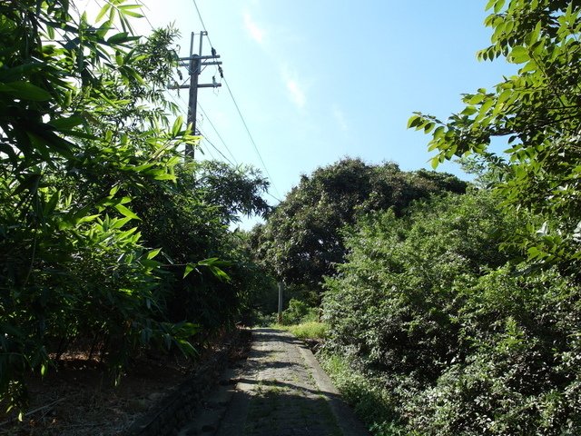 福隆山步道 (26).JPG