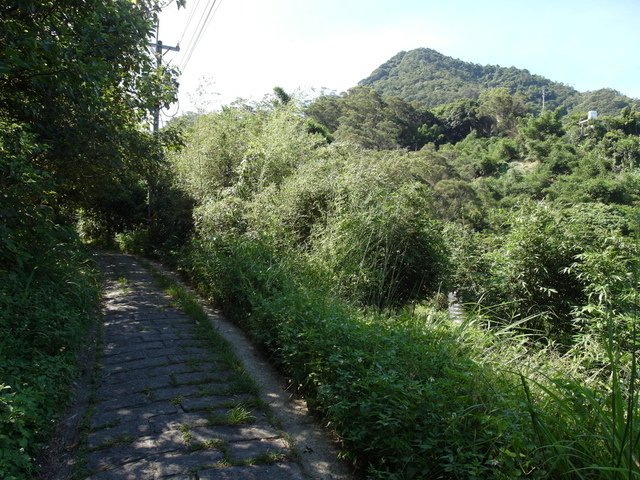 福隆山步道 (32).JPG