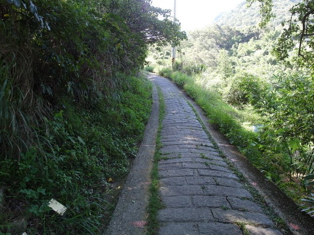 福隆山步道 (30).JPG