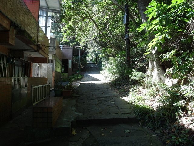 福隆山步道 (90).JPG