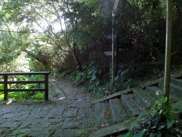 福隆山步道 (97).JPG