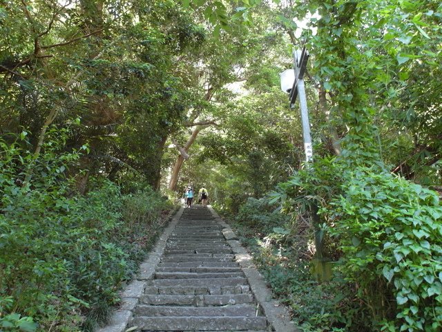 福隆山步道 (103).JPG