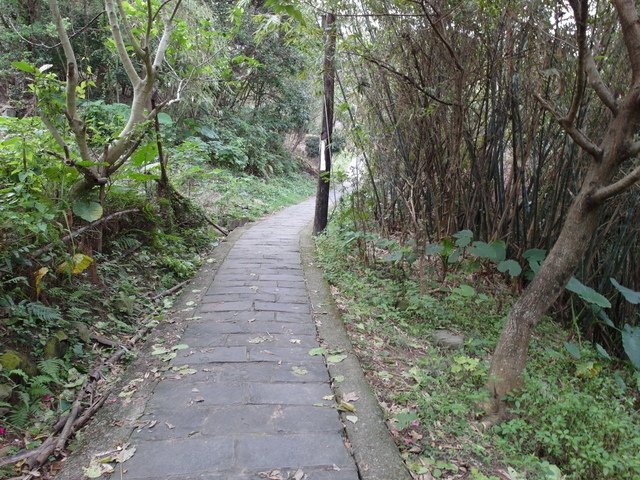 福隆山步道 (149).JPG