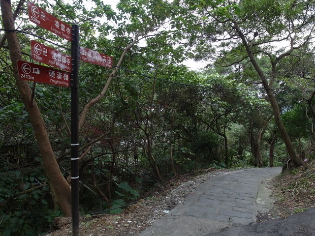 福隆山步道 (164).JPG