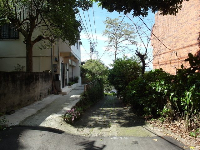 林梢步道 (9).JPG