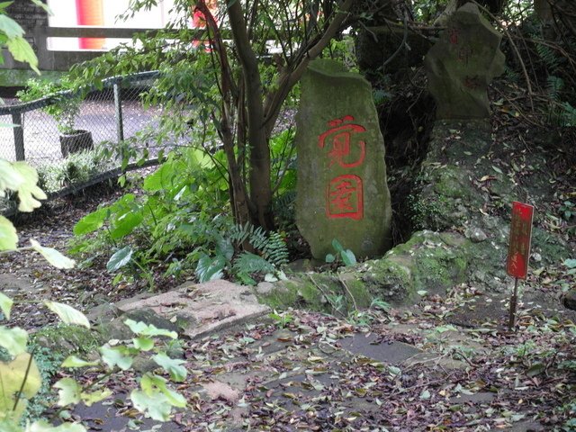 林梢步道 (274).JPG