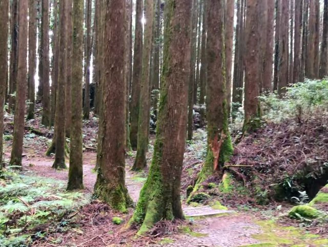 二萬坪 (45).jpg