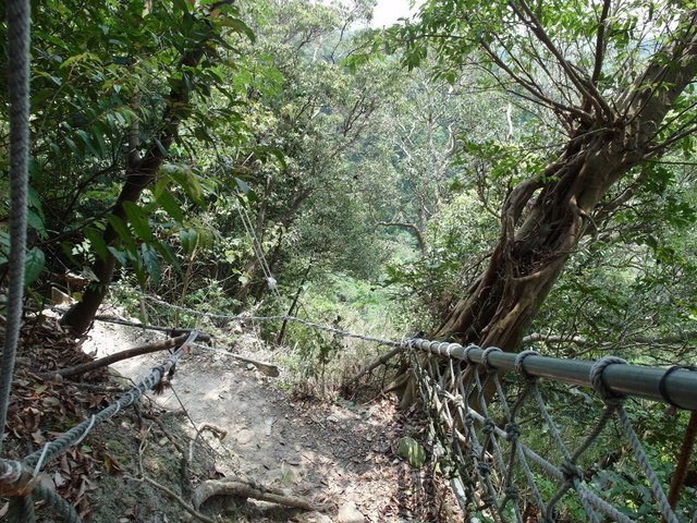 摩天嶺 (27).JPG