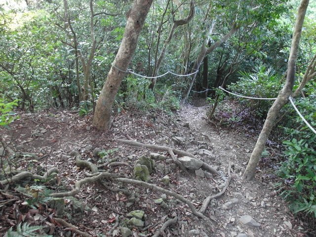 摩天嶺 (115).JPG