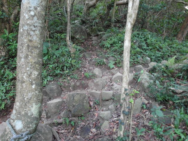 摩天嶺 (173).JPG