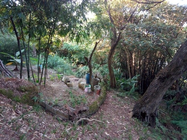 小南港山 (181).jpg