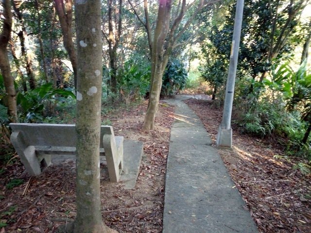 小南港山 (206).jpg