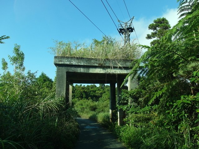 安平坑林道 (87).JPG